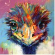 Cheeky Emu
